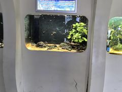 -嘉兴海底世界