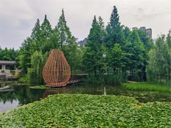 -洋湖国家湿地公园