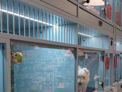 -FAELING PETS美天灵宠物(合生汇店)