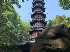 -上海佘山国家森林公园西佘山园