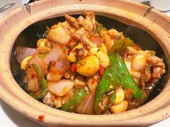 砂锅哇哇叫-刘胖子家常菜·蹄花焖藕(兴业店)