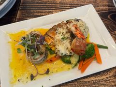 -Fish Hopper