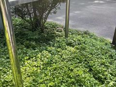 -黑龙江省森林植物园
