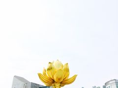 -金莲花广场