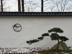 -东平国家森林公园