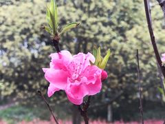 -重庆彩云湖湿地公园