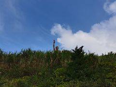 -东极岛景区