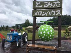 -富田农场