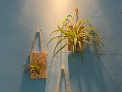 -塔拉苏咖啡(中信丹阳花园店)