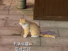 -蔡林记(汉街店)