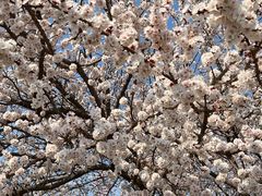 -吉林大学(南岭校区)