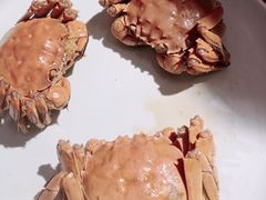 -沪小胖·小龙虾·蓝龙王(八佰伴店)