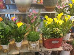 -双季花艺园艺市场(浦东店)