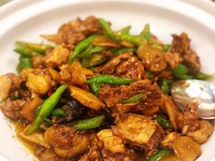 茶油炒土鸡-饭怕鱼·黄焖鲟龙鱼(湖大店)