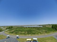 -盐城丹顶鹤湿地生态旅游区