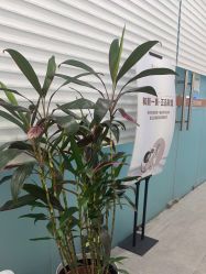 -和颜一美轻医美连锁