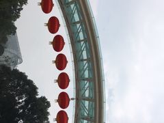 -南山植物园