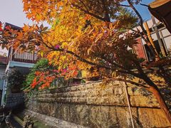 -乖乖佳花园山庄·私房菜(阿哈湖公园店)