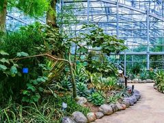 -南山植物园