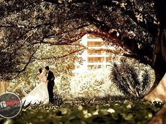 -SYDPHOTOS悉尼婚纱摄影摄像澳洲总部