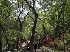 -灵岩山风景区