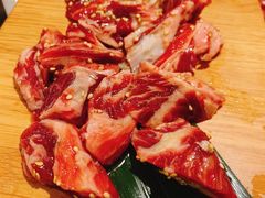 -猫爪爪原切自助烤肉(观音桥阳光世纪店)