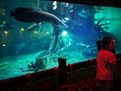 -华夏文旅海洋公园