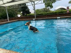 -太阳岛度假酒店