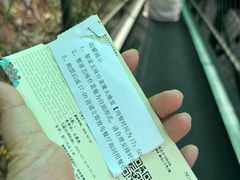 -海南槟榔谷黎苗文化旅游区