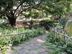 -晓港公园