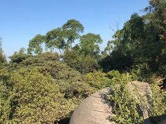 -火炉山森林公园