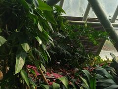 -东莞植物园