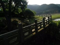 -北仑森林植物园