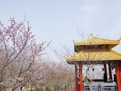 -大伊山景区