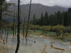 -黄龙山原始森林景区