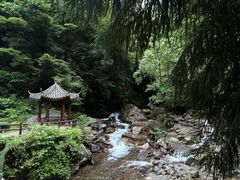 -西岭雪山大飞水景区