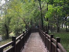 -东湖落雁景区