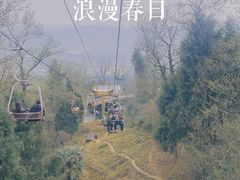 -周肥肠(江油总店)