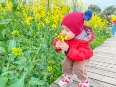 -前小桔亲子创意农场·草莓采摘·露营烧烤