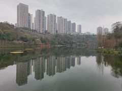 -重庆彩云湖湿地公园