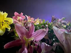 -花博汇(知音花月夜)