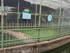 -安徽八里河旅游区