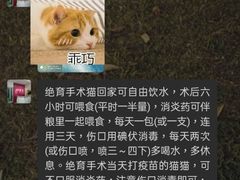 -荔康动物医院(康王北路店)