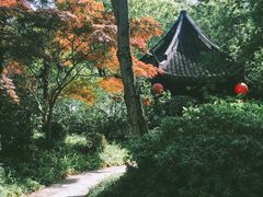 -上海醉白池公园