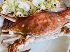 -胖大嫂渔家排档·全海景餐厅(渔村店)