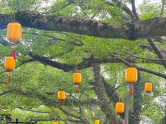 -江心屿景区