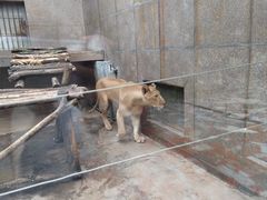 -西安秦岭野生动物园