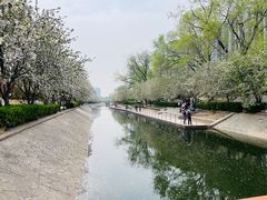 -大望京公园