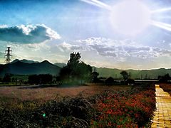 -君乐宝优致牧场