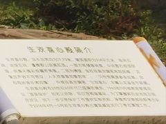 -须弥福寿之庙